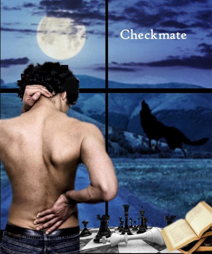 Checkmate (The Omega Auction Chronicles, #14)