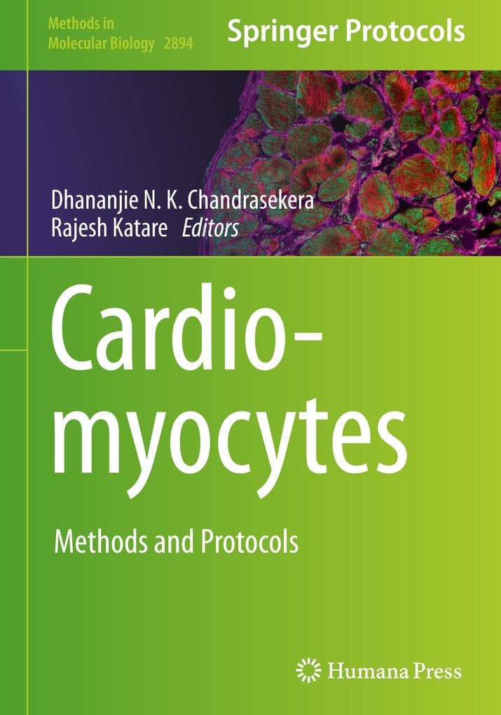 Cardiomyocytes