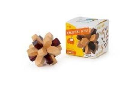 Brainpuzzle #2 Scheitellappen