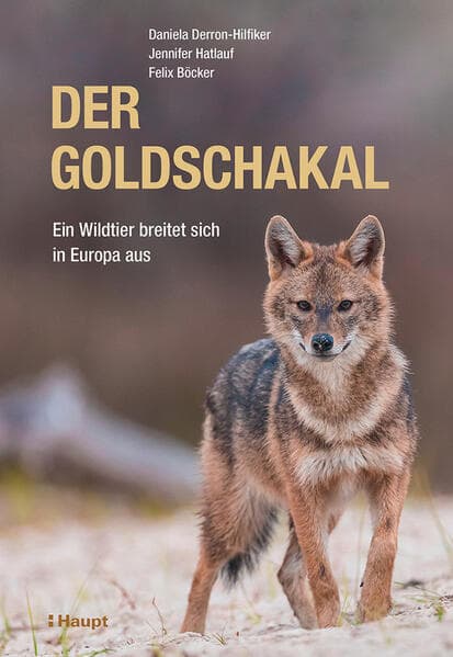 Der Goldschakal