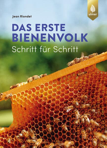 Das erste Bienenvolk - Schritt für Schritt