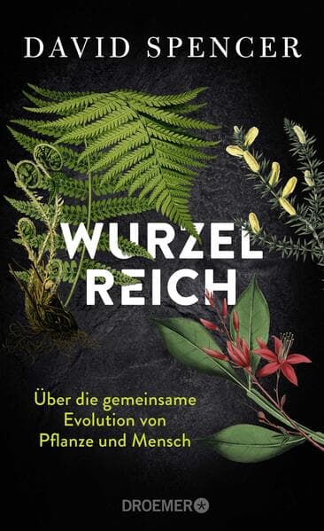 Wurzelreich