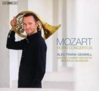 Die Hornkonzerte