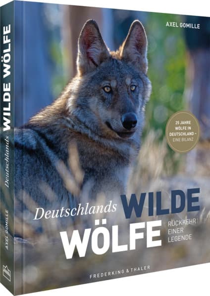Bildband Wölfe - Begegnungen in freier Wildbahn: Deutschlands wilde Wölfe kehren zurück - Ein einmaliges Erlebnis von Wildnis und Natur mit 190 außergewöhnlichen Fotos