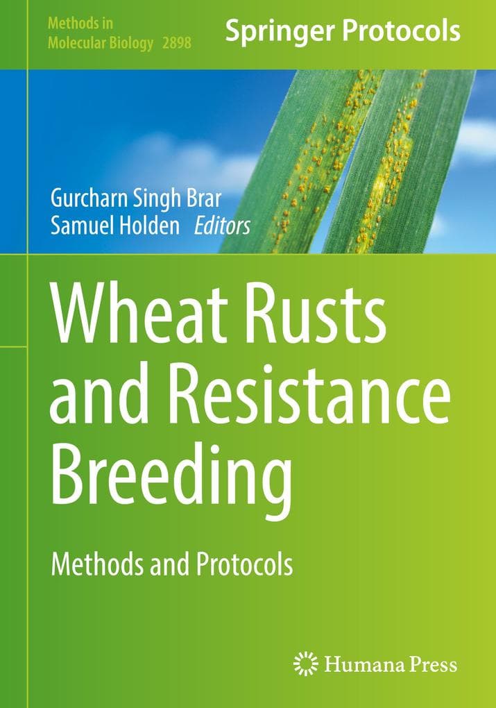 Wheat Rusts and Resistance Breeding