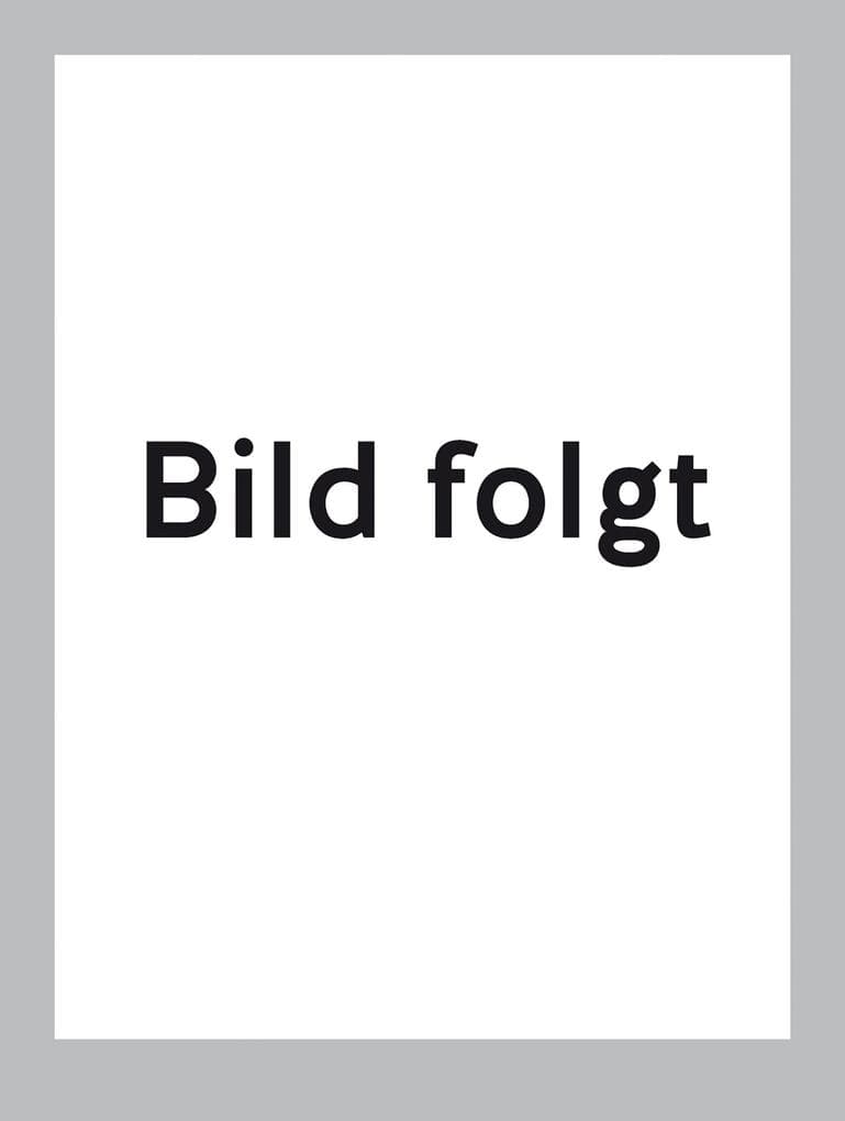 Michelin Baltische Länder (Estland, Lettland und Litauen) 1 : 500 000