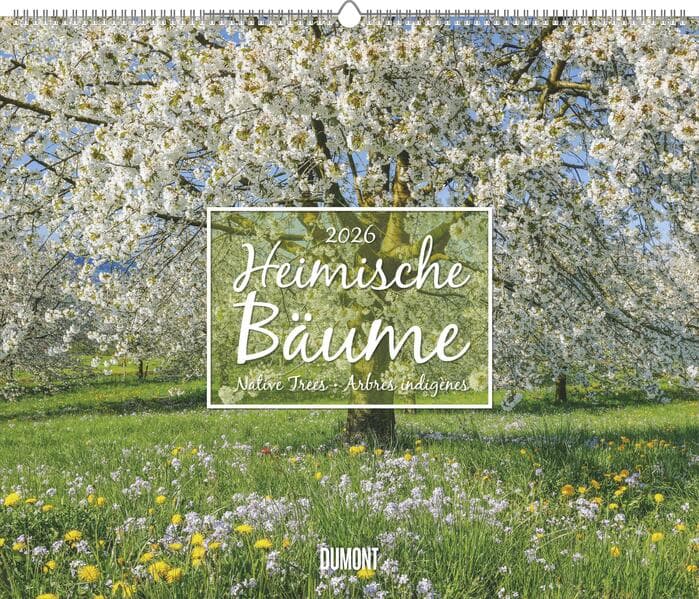 Heimische Bäume 2026 - Wandkalender 60x50 cm - Spiralbindung