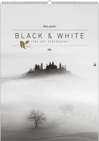 Black & White 2026 - Bildkalender 50x70 cm - Wandkalender XL - schwarz-weiß - Kunst - Hochformat - Palazzi