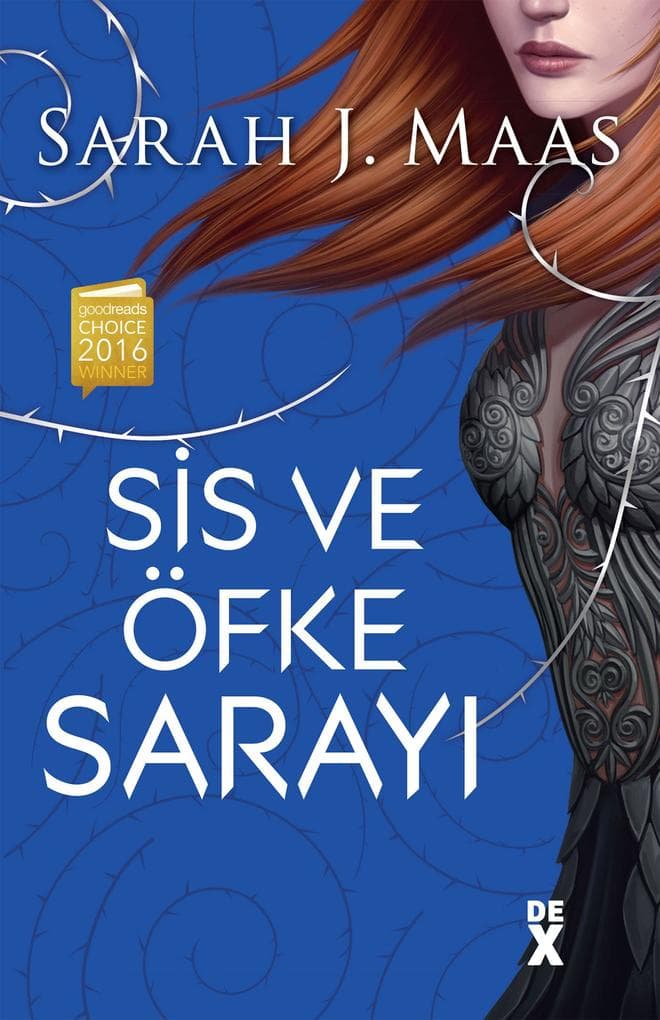 Dikenler Ve Güller Sarayi 2 - Sis ve Öfke Sarayi