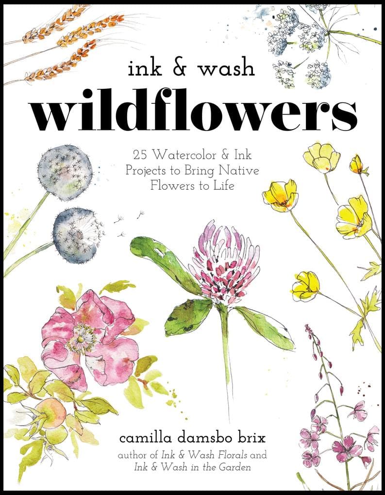 Ink & Wash Wildflowers