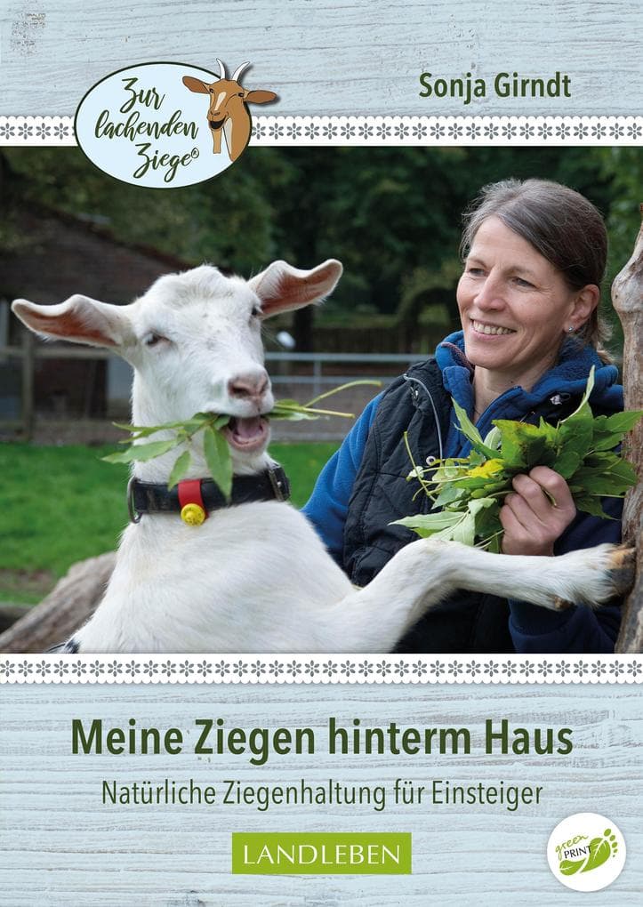 Meine Ziegen hinterm Haus