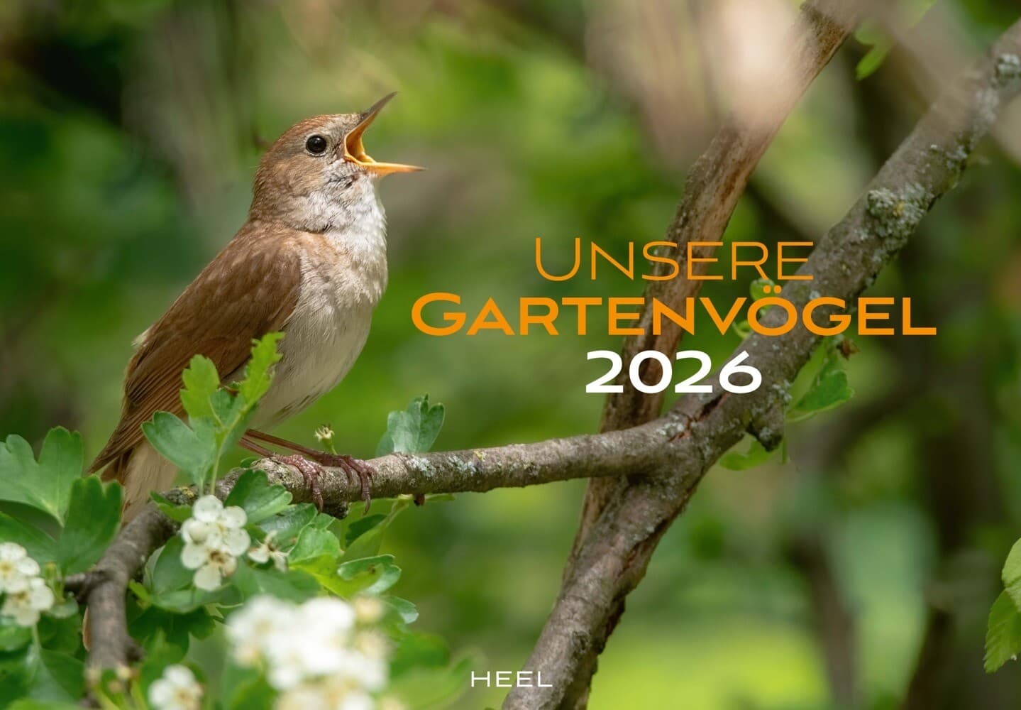 Unsere Gartenvögel Kalender 2026