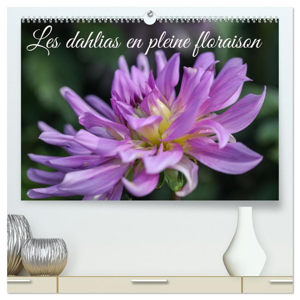 Les Dahlias en pleine floraison (Calendrier mural 2026 DIN A2 vertical) calendrier de bureau