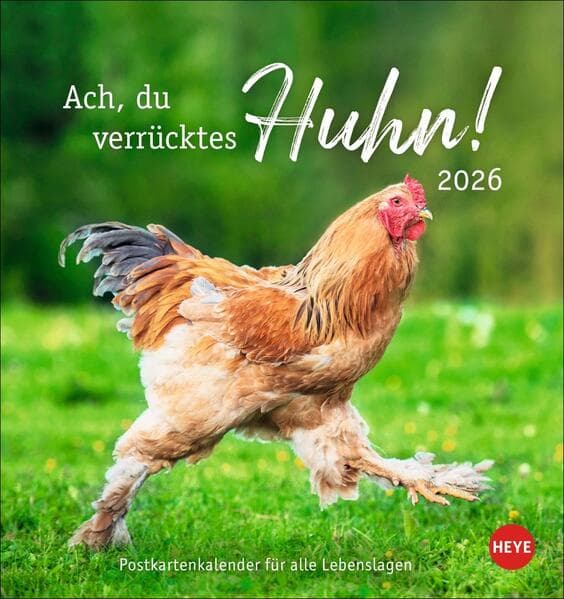 Hühner Postkartenkalender 2026 - Ach, du verrücktes Huhn!