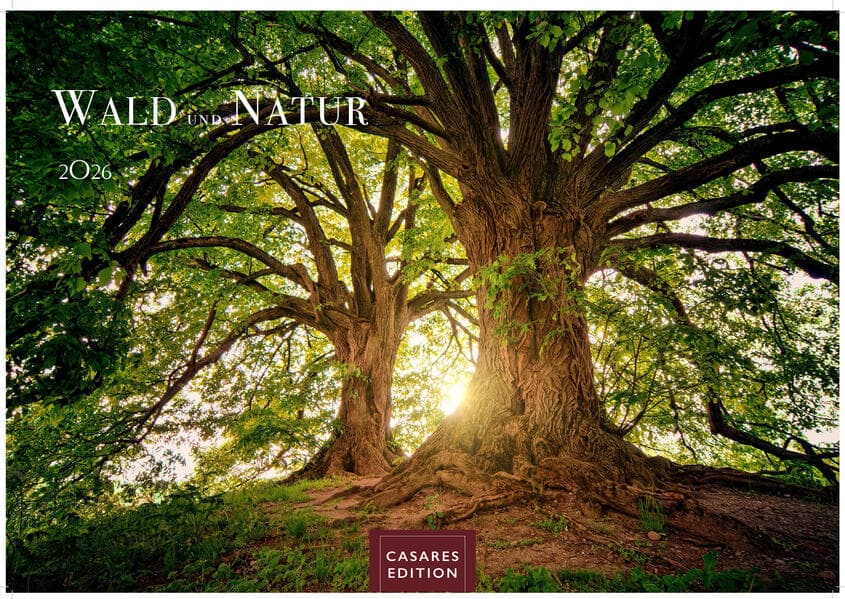 Wald & Natur Kalender 2026 - Wandkalender | Fotokalender Naturkalender Großformat 35x50cm - Natürliche Schönheit & Ruhe für jeden Monat .