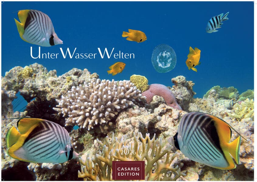 Unterwasserwelten 2026 L 35x50cm