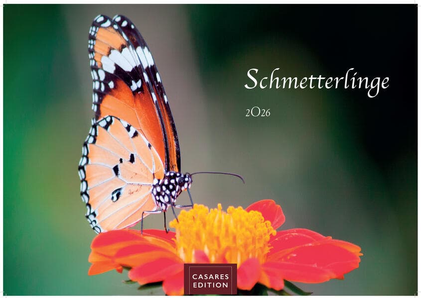 Schmetterlinge Kalender 2026 - Wandkalender | Fotokalender Tier 35x50cm Grosses Format - Mit wunderschönen, detailreichen Bildern von Schmetterlingen.