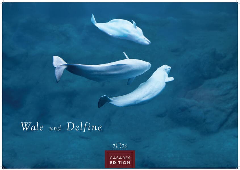 Wale und Delfine 2026 S 24x35cm