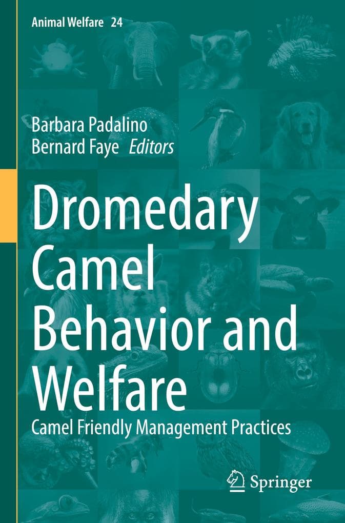 Dromedary Camel Behavior and Welfare