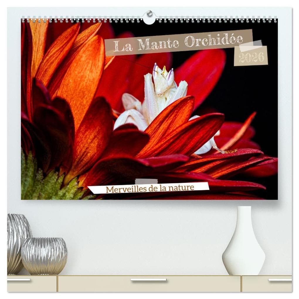 La Mante Orchidée (Calendrier mural 2026 DIN A2 vertical) calendrier de bureau