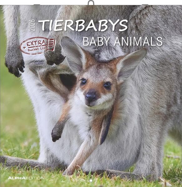 Tierbabys 2026 - Broschürenkalender 30x30 cm (30x60 geöffnet) - Kalender mit Platz für Notizen - Baby Animals - Bildkalender - Wandplaner - Alpha Edition