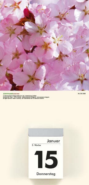 Bildrückwände für Typ 301 und 302 Blumen soriert 2027