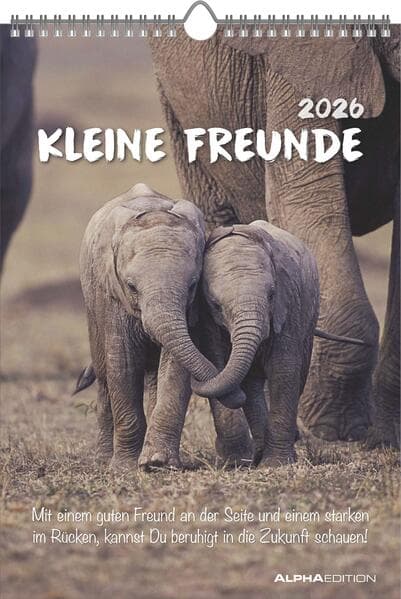 Kleine Freunde 2026 - Bildkalender 23,7x34 cm - Kalender mit Platz für Notizen - mit vielen Zusatzinformationen - Wandkalender - Alpha Edition