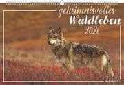 Geheimnisvolles Waldleben 2026 - Bildkalender 49,5x33 cm - Tiere und Pflanzen in unseren heimischen