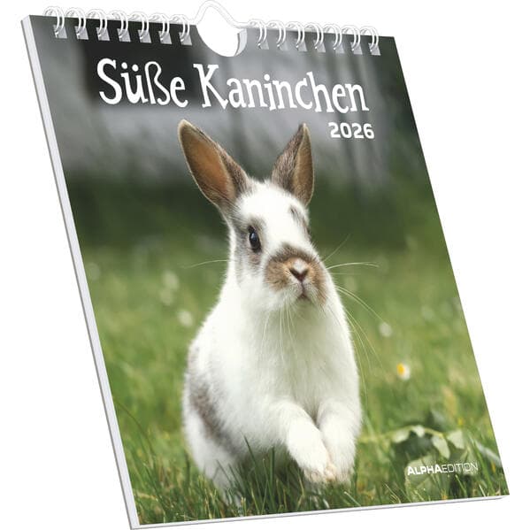 Süße Kaninchen 2026 - Postkartenkalender 16x17 cm