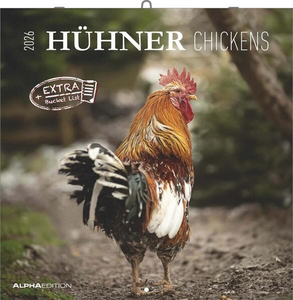 Hühner 2026 - Broschürenkalender 30x30 cm (30x60 geöffnet) - Kalender mit Platz für Notizen - Hühner - Bildkalender - Wandkalender - Hühnerkalender