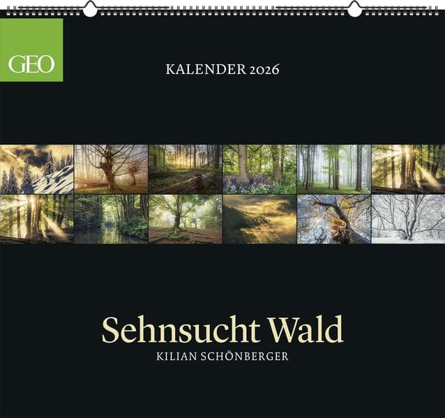 GEO Kalender: Sehnsucht Wald 2026 - Wand-Kalender - Natur-Kalender - 60x55
