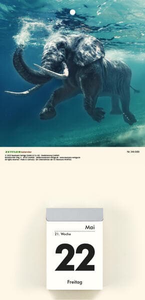 Bildrückwände für Typ 301 und 302 Tiere sortiert 2027