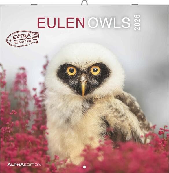 Alpha Edition - Eulen 2026 Broschürenkalender, 30x30cm, Wandkalender mit Platz für Notizen und Termine, beeindruckende Eulen-Motive, Monatsübersicht und Ferientermine DE/AT/CH