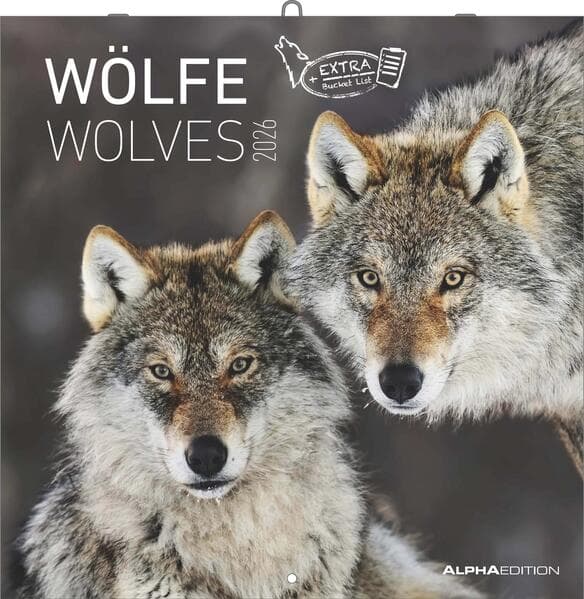 Wölfe 2026 - Broschürenkalender 30x30 cm (30x60 geöffnet) - Kalender mit Platz für Notizen - Wolves - Bildkalender - Wandplaner - Alpha Edition