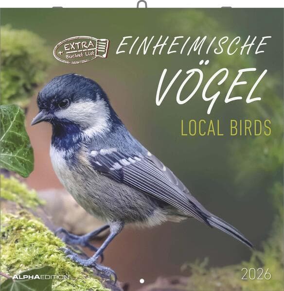 Einheimische Vögel 2026 - Broschürenkalender 30x30 cm (30x60 geöffnet) - Kalender mit Platz für Notizen - Birds - Bildkalender - Wandkalender - Vogelkalender