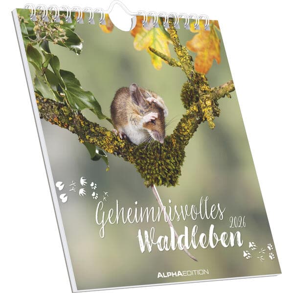 Geheimnisvolles Waldleben