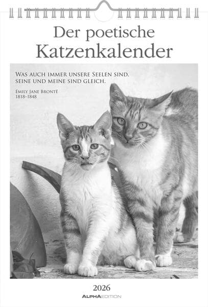 Der poetische Katzenkalender im Format 21 x 29,7