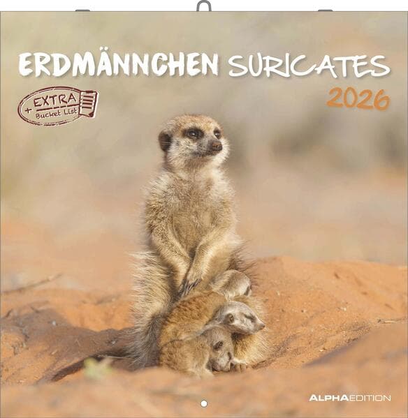 Alpha Edition - Erdmännchen 2026 Broschürenkalender, 30x30cm, Wandkalender mit Platz für Notizen und Termine, Motive von süßen Erdmännchen, Monatsübersicht und Ferientermine DE/AT/CH