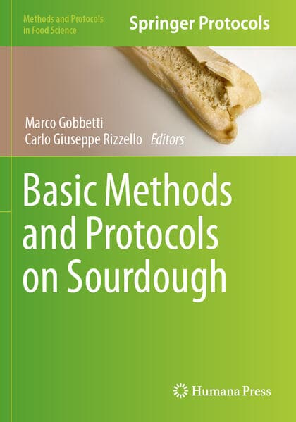 Basic Methods and Protocols on Sourdough