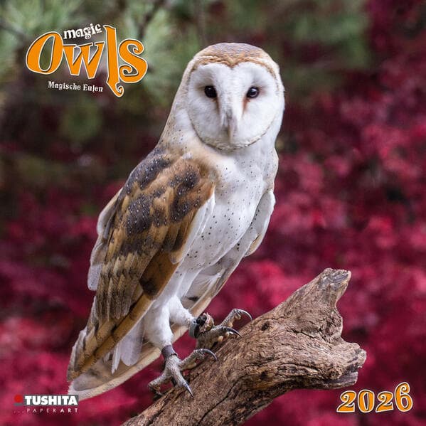 Magic Owls 2026