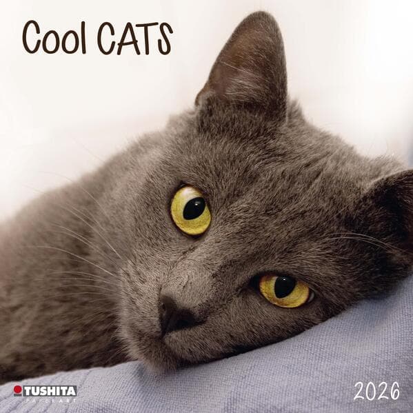 Cool Cats 2026