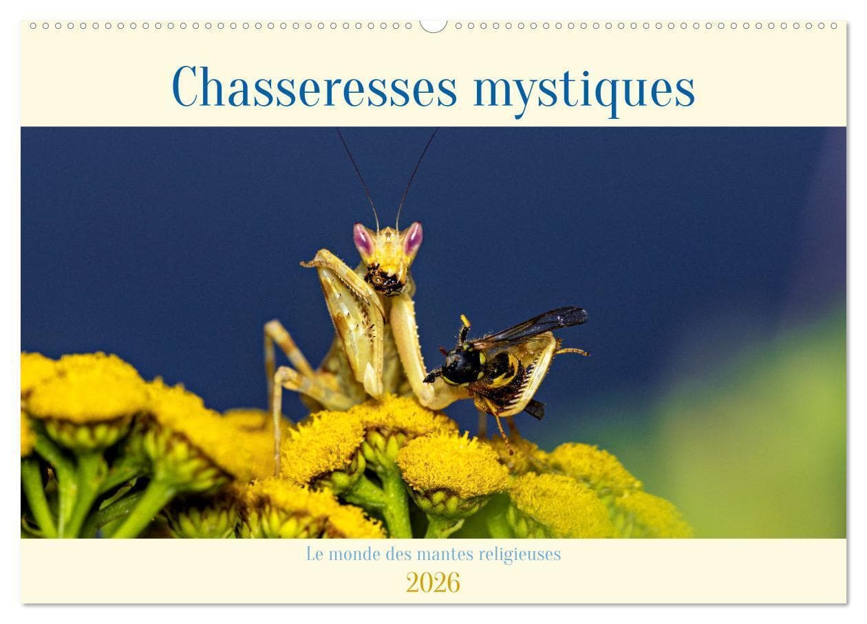 Chasseresses mystiques (Calendrier mural 2026 DIN A2 vertical), CALVENDO calendrier mensuel