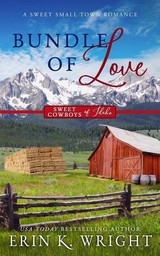 Bundle of Love: A Small Town Office Sweet Romance (Sweet Cowboys of Idaho, #7)