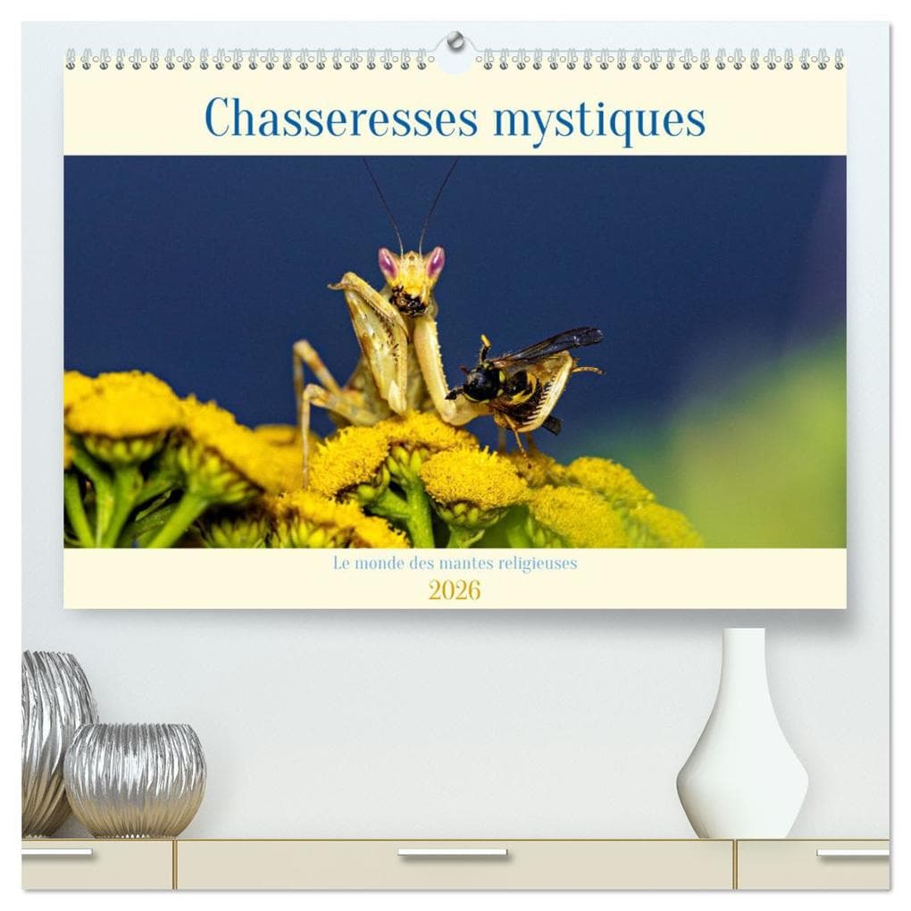 Chasseresses mystiques (Calendrier mural 2026 DIN A2 vertical) calendrier de bureau