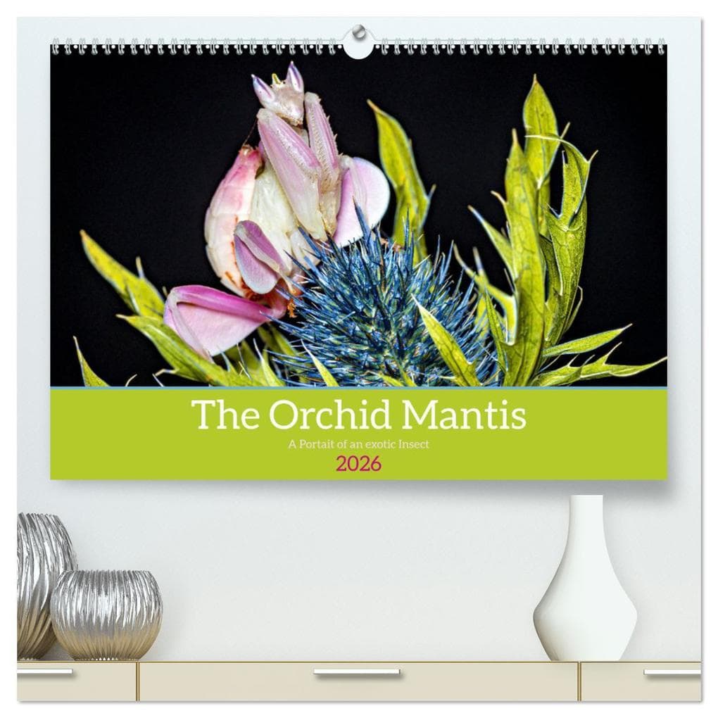 The Orchid Mantis (High Quality Premium Wall Calendar 2026 DIN A2 landscape),CALVENDO 12 Month Wall Calendar