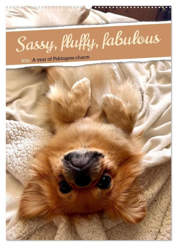 Sassy, fluffy, fabulous - A year of Pekingese charm (Wall Calendar 2026 DIN A2 portrait), CALVENDO 12 Month Wall Calendar