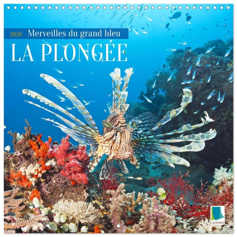 La plongée : merveilles du grand bleu (Calendrier mural carré 2026 30x30 cm) Calendrier double avec