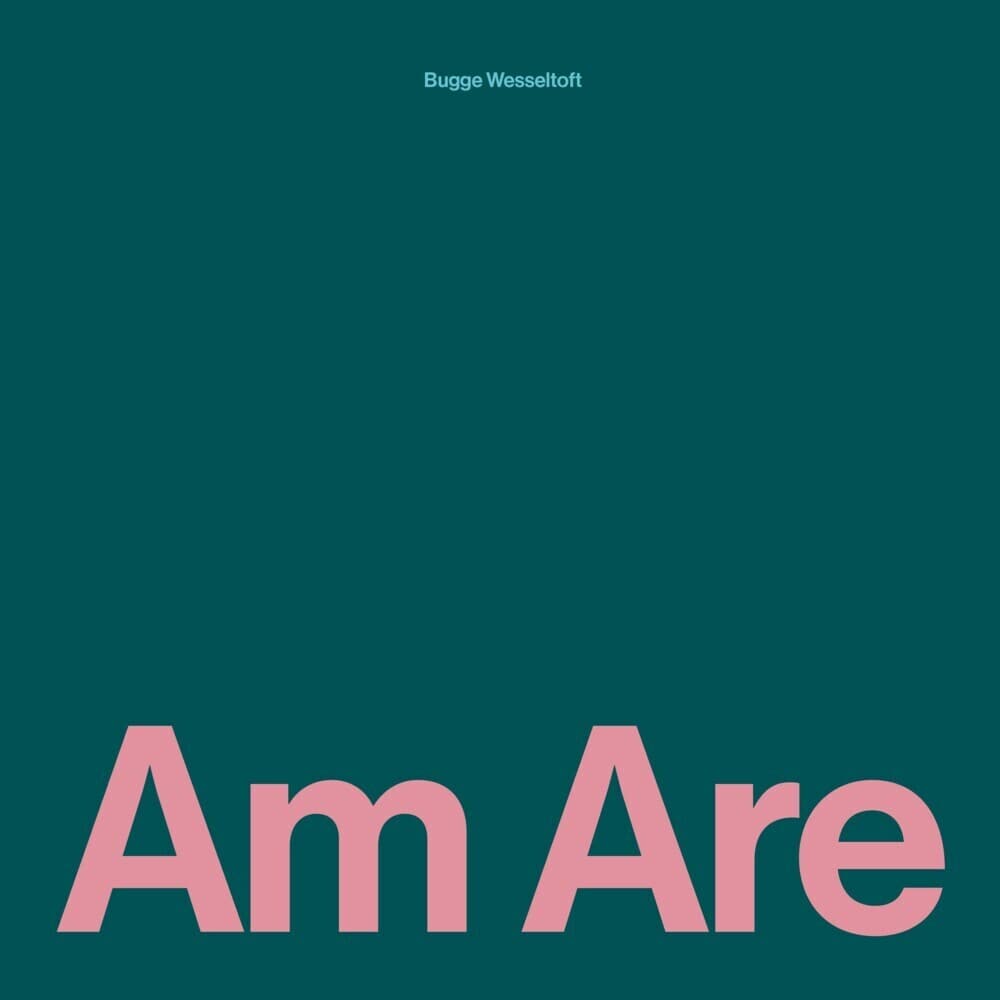 Am Are(2LP)