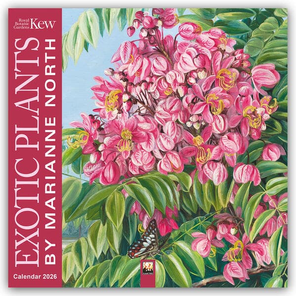Marianne North, Exotic Plants - Exotische Pflanzen 2026 - Original Flame Tree Publishing-Kalender [Kalender]