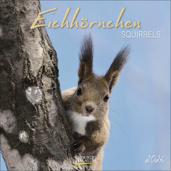 Eichhörnchen 2026